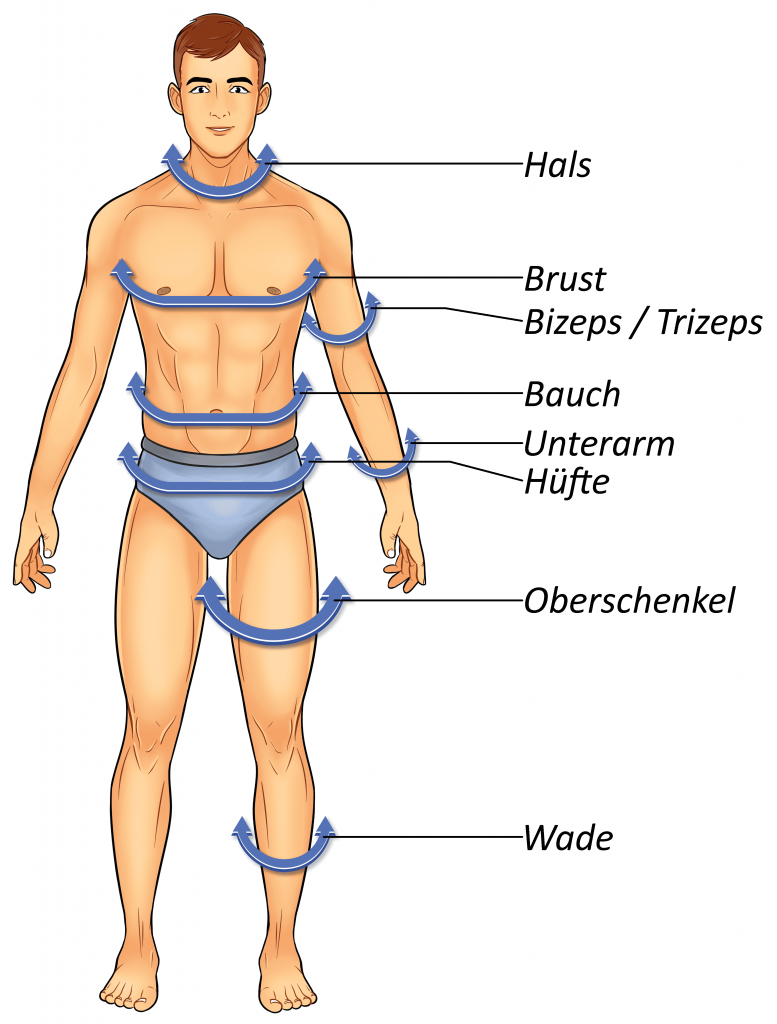 Illustration eines Mannes mit markierten Bereichen zur Umfangsmessung mit einem Fitnessmaßband.
